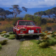 Illustration for article titled FORTY 3RD: THE GRUELING SAFARI RALLY PART 2